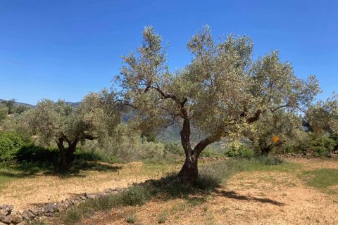 Landejendom i El Perello, Tarragona, El Perello - € 35.000 | Ref: Finca Godai Exc - foto 7